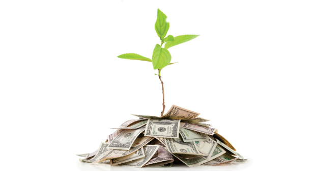Crowdfunding and Distribution